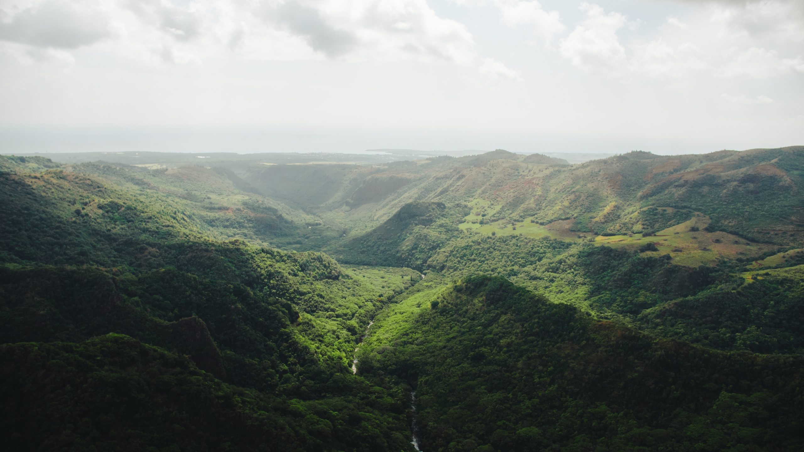 wide-shot-river-going-through-forest-mountains-captured-kauai-hawaii